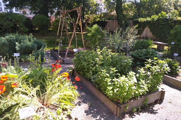 Der Klostergarten - Hortulus theodiscus - der Sächsischen Akademie der Wissenschaften zu Leipzig. Foto: SAW