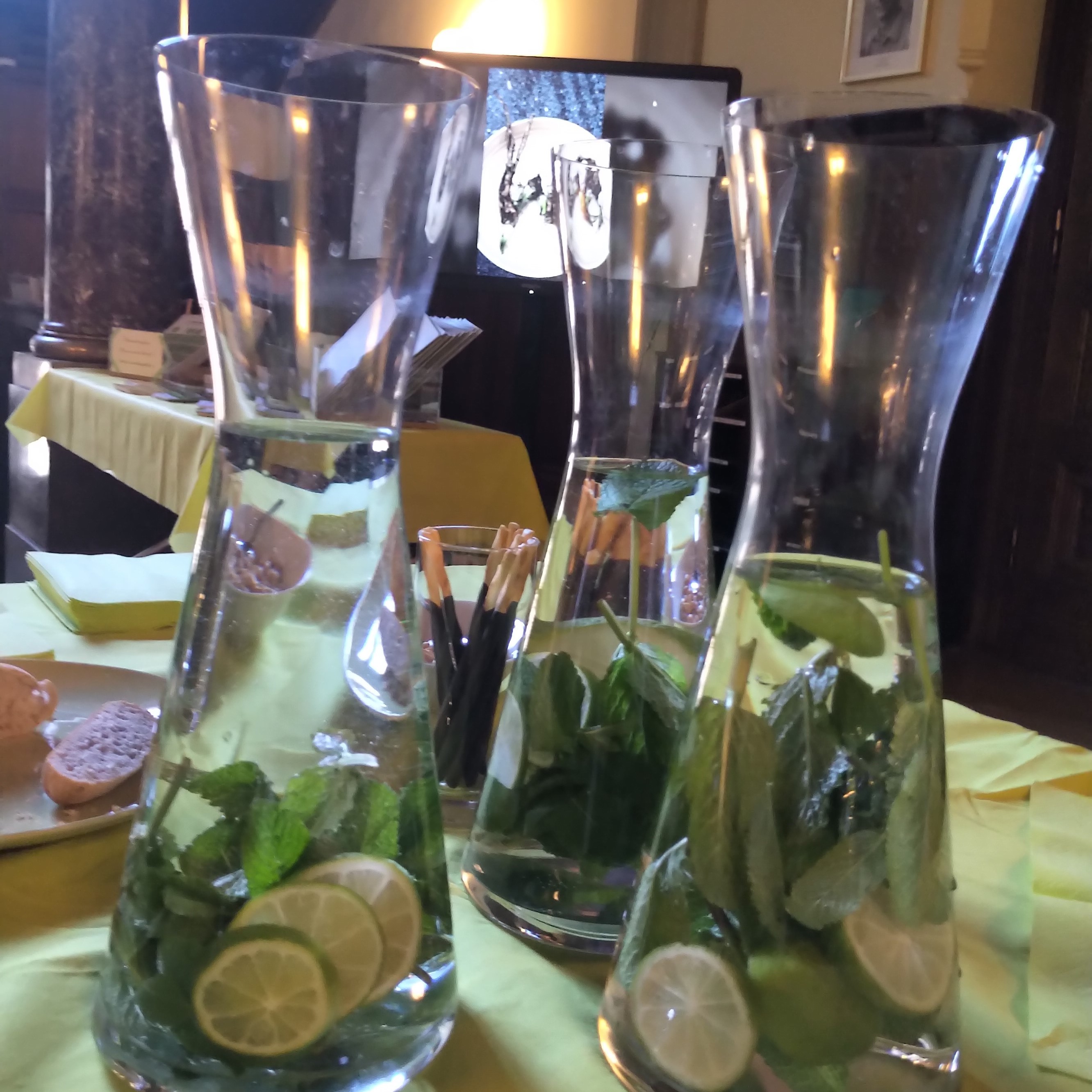 Die Akademie und der Hortulus bereit für die Gäste. Foto: Almut Mikeleitis-Winter